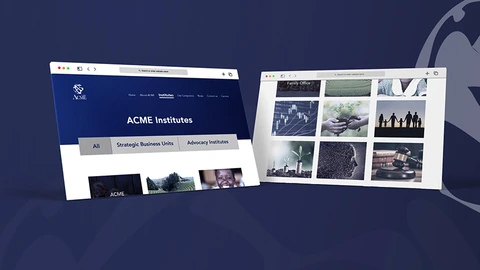 ACME - Website Design — websites & mobile apps by BRANDIZER, Cairo