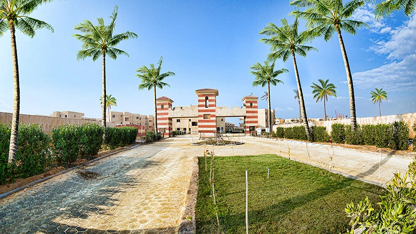 Island Beach - Photoshoot — Real Estate campaign by BRANDIZER, image 14