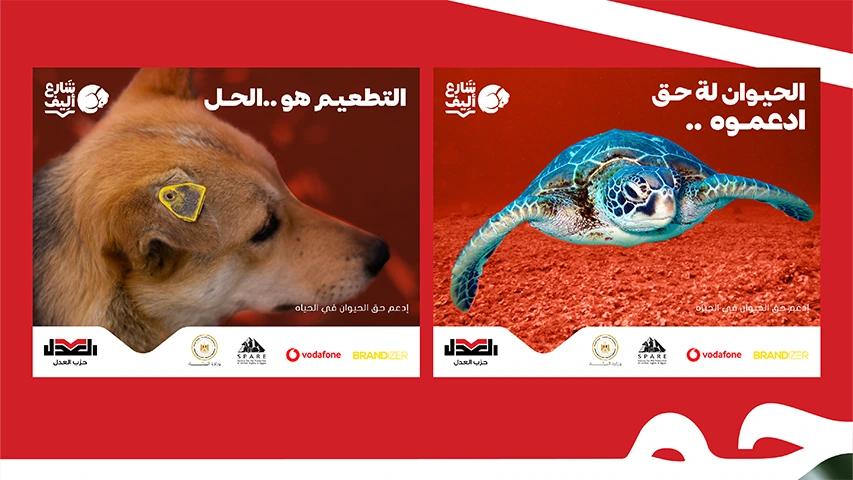Share3 Aleef — NGO campaign by BRANDIZER, image 12