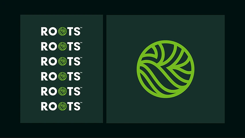 Roots — FMCG campaign by BRANDIZER, image 19