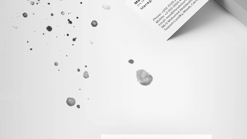 The Advisor — Corporates campaign by BRANDIZER, image 5