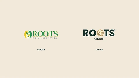 Roots — FMCG project by BRANDIZER