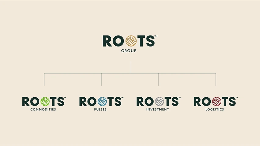 Roots — FMCG campaign by BRANDIZER, image 5