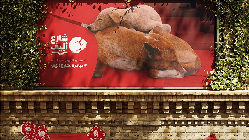 Share3 Aleef — NGO campaign by BRANDIZER, image 11
