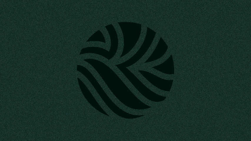Roots — FMCG campaign by BRANDIZER, image 13