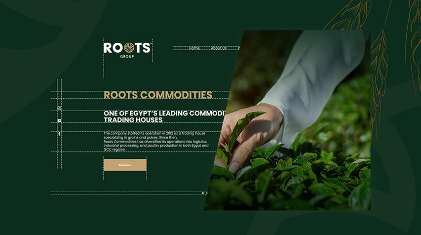 Roots — FMCG campaign by BRANDIZER, image 1