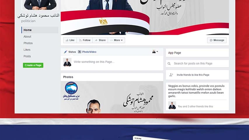 Mahmoud Toshka — Politics & Public Affairs campaign by BRANDIZER, image 1
