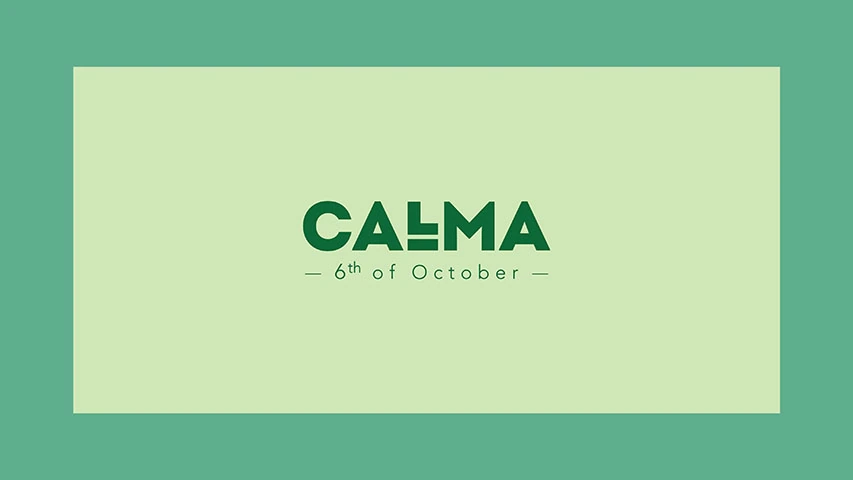 Calma — Real Estate campaign by BRANDIZER, image 5