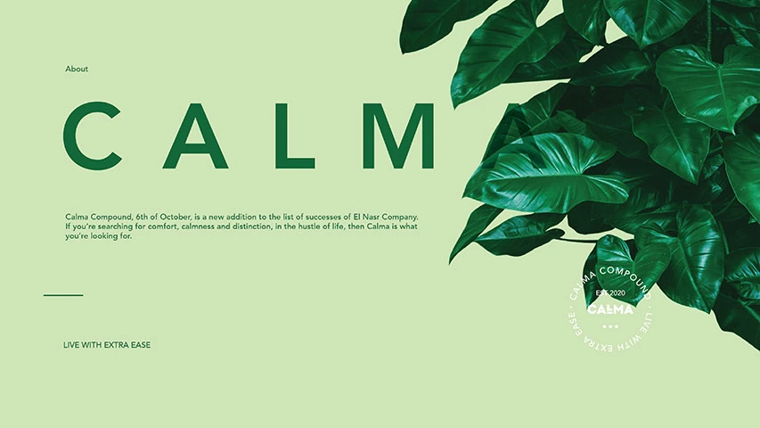 Calma — Real Estate campaign by BRANDIZER, image 2