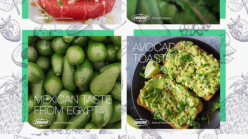 Evagro — Agriculture campaign by BRANDIZER, image 10