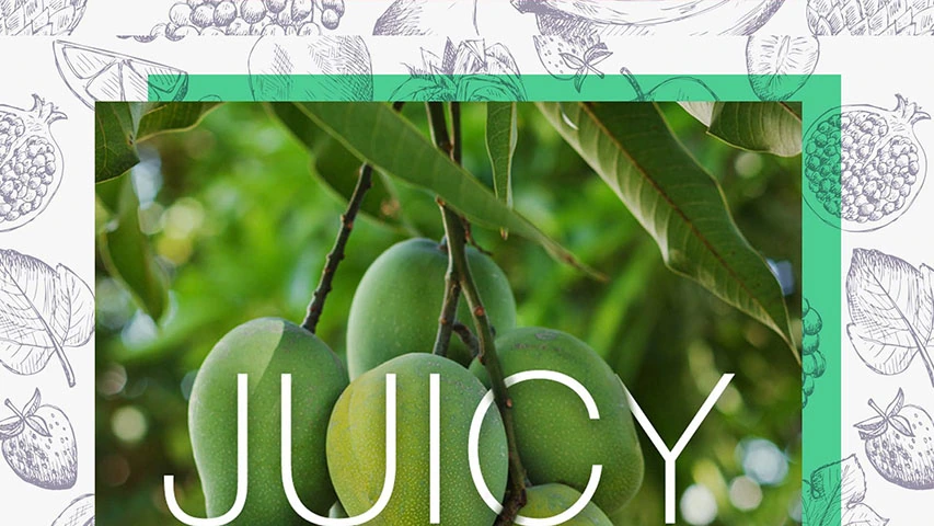Evagro — Agriculture campaign by BRANDIZER, image 14