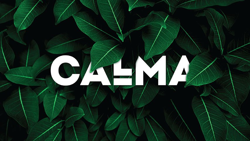 Calma — Real Estate campaign by BRANDIZER, image 4