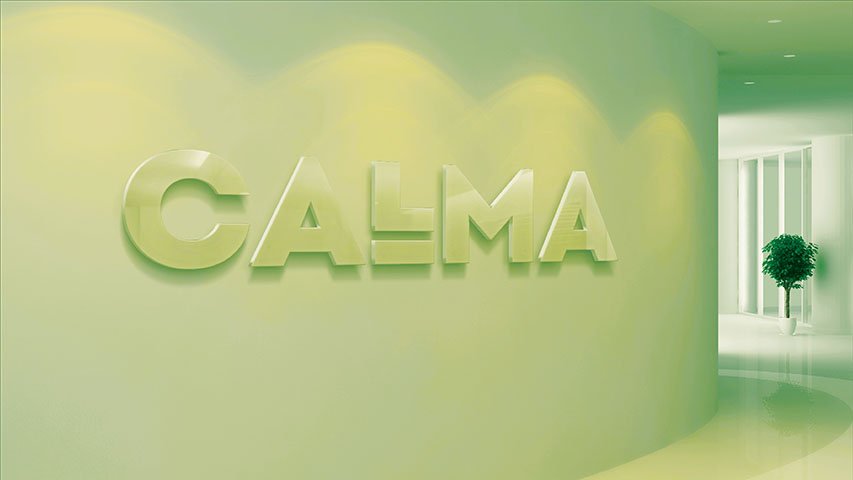 Calma — Real Estate campaign by BRANDIZER, image 9