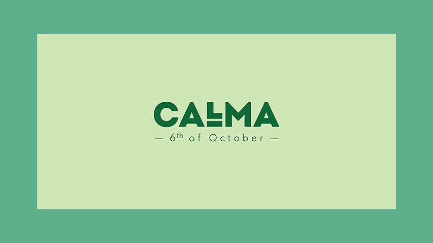 Calma — Real Estate campaign by BRANDIZER, image 10