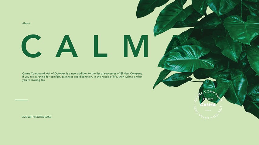 Calma — Real Estate campaign by BRANDIZER, image 14