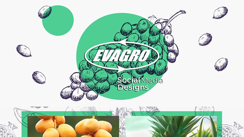 Evagro — FMCG campaign by BRANDIZER, image 5