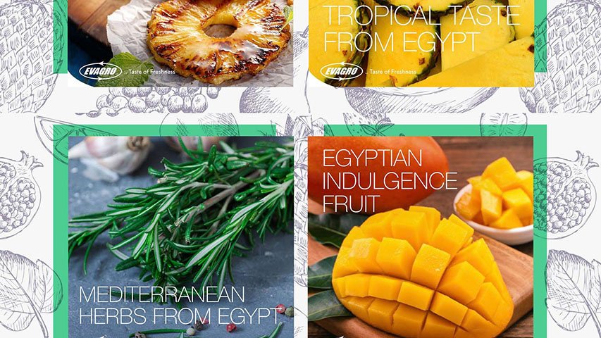 Evagro — FMCG campaign by BRANDIZER, image 7