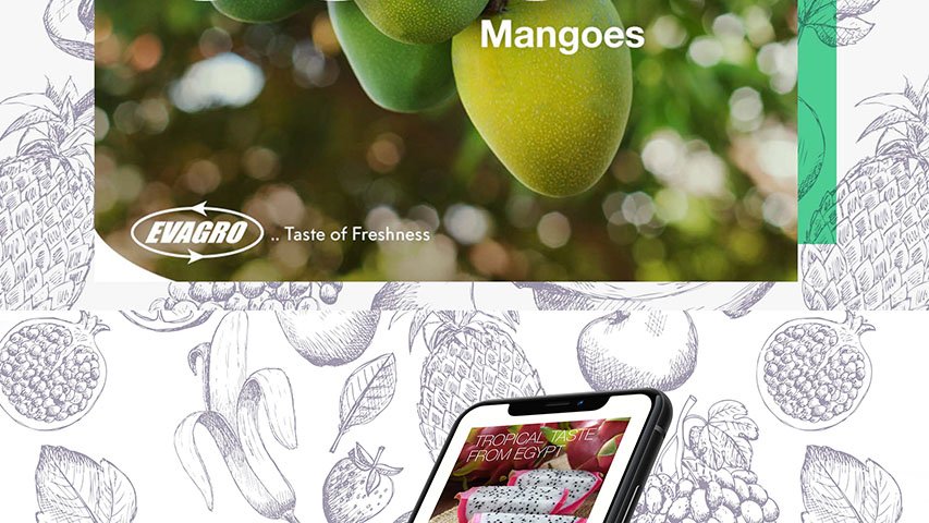 Evagro — FMCG campaign by BRANDIZER, image 8