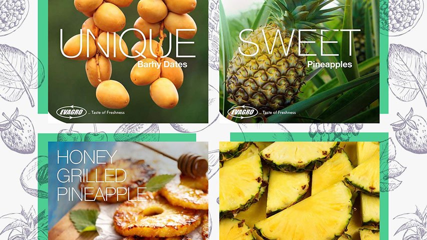 Evagro — FMCG campaign by BRANDIZER, image 9