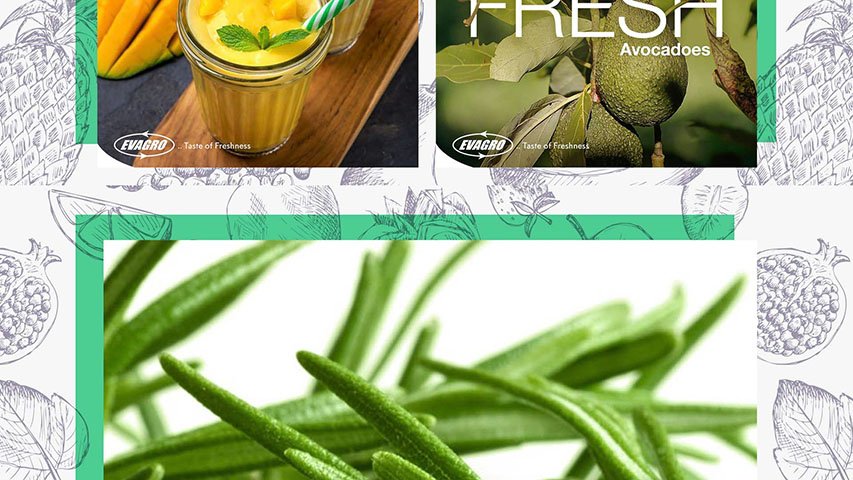 Evagro — FMCG campaign by BRANDIZER, image 10