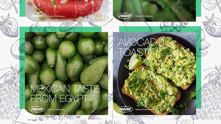 Evagro — FMCG campaign by BRANDIZER, image 12