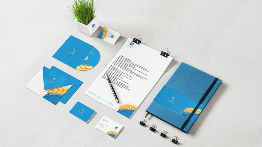 Ministry of Supply — Government campaign by BRANDIZER, image 4