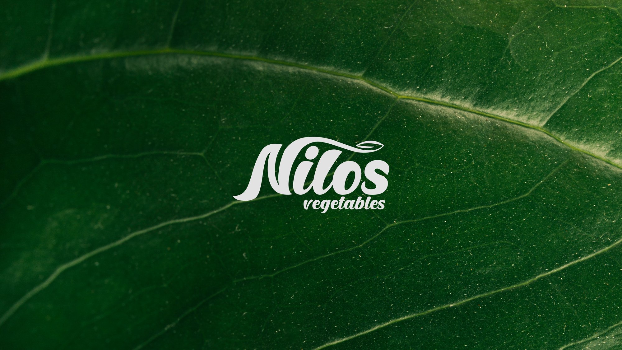 Nilos — FMCG campaign by BRANDIZER, image 2