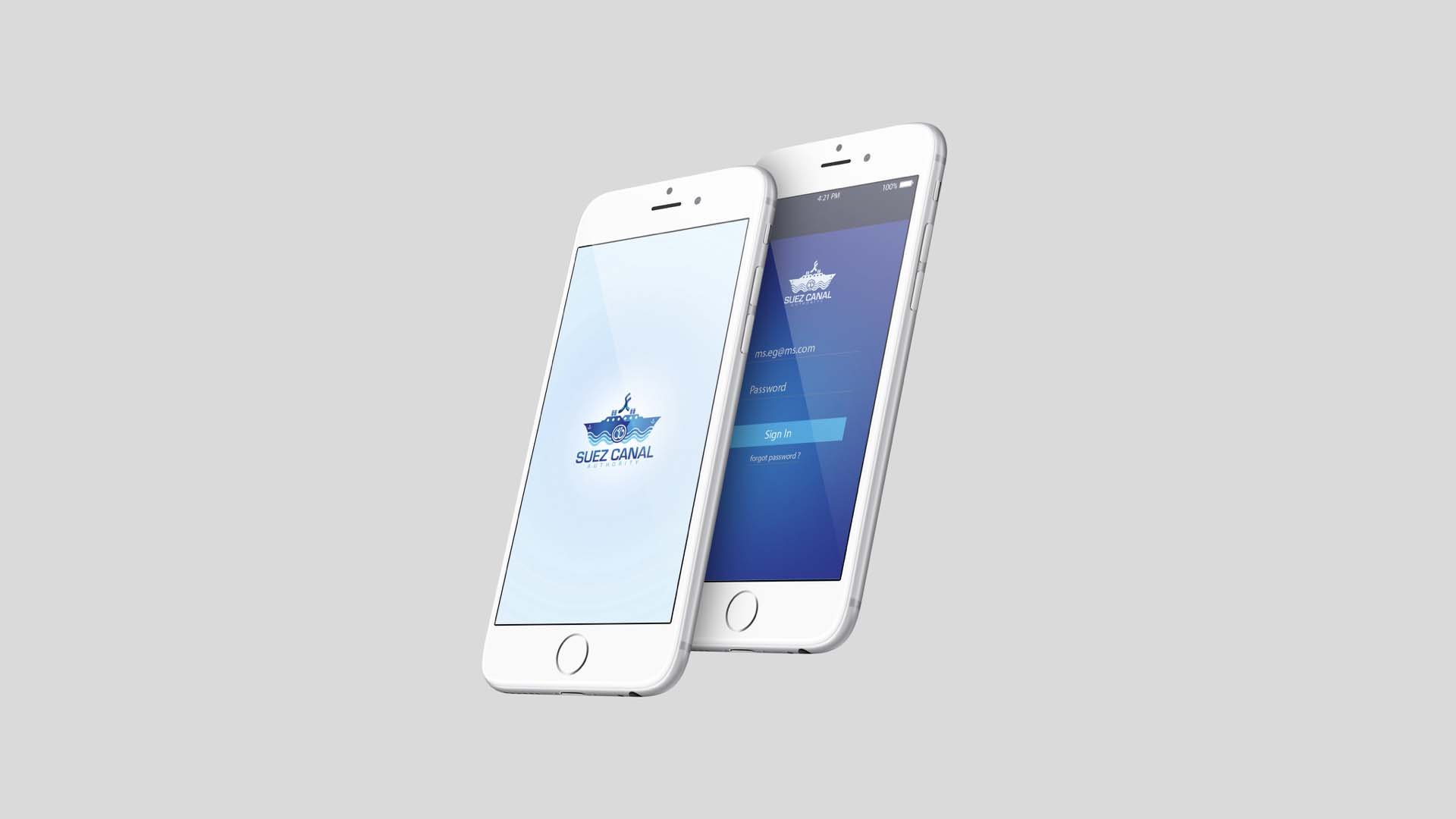 Suez Canal — Government campaign by BRANDIZER, image 13
