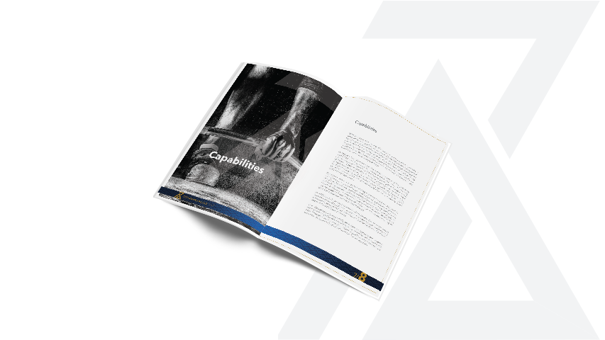 Zada — Consultancy/Corporate campaign by BRANDIZER, image 13